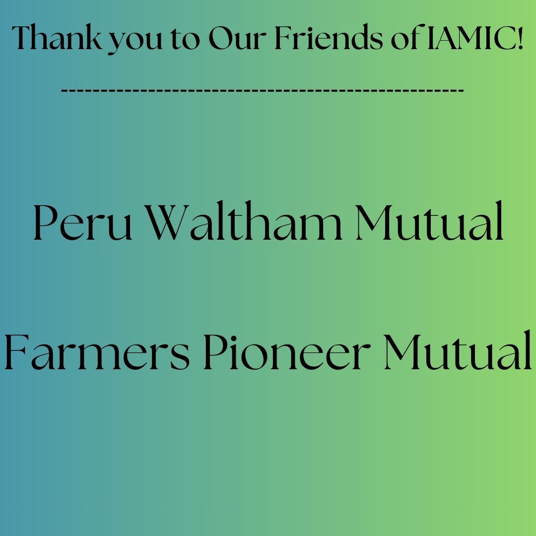 Friends of IAMIC